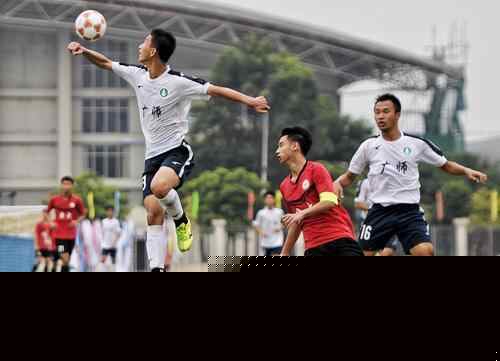 确保了强强 确保了强强